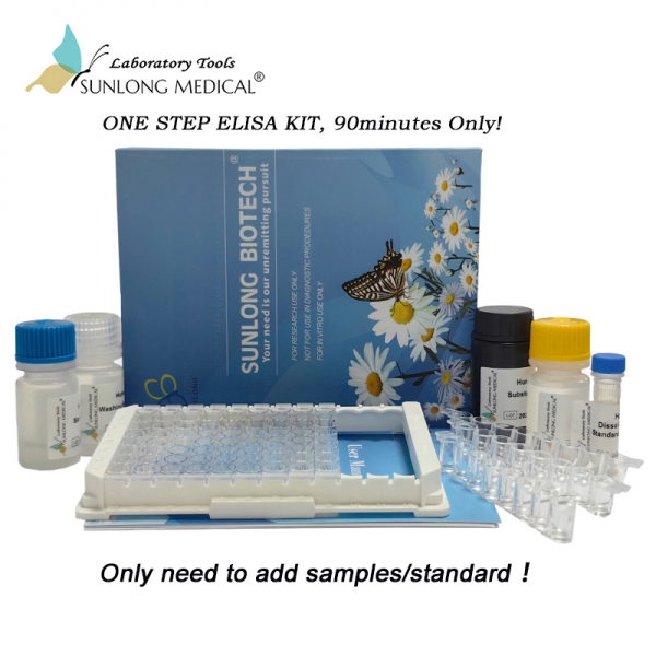 One Step ELISA Kit For Human Interleukin 8 (IL8)
