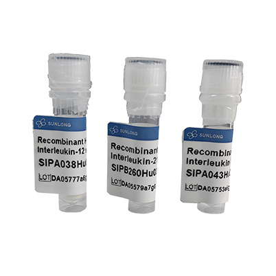 Synthetic Procollagen I N-Terminal Propeptide (PINP)