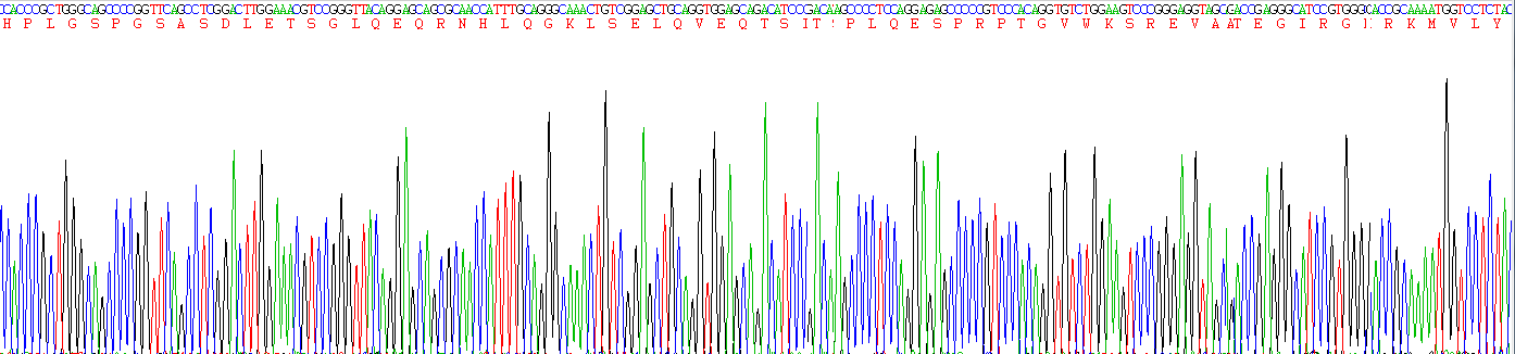 Recombinant Tumor Necrosis Factor Alpha (TNFa)