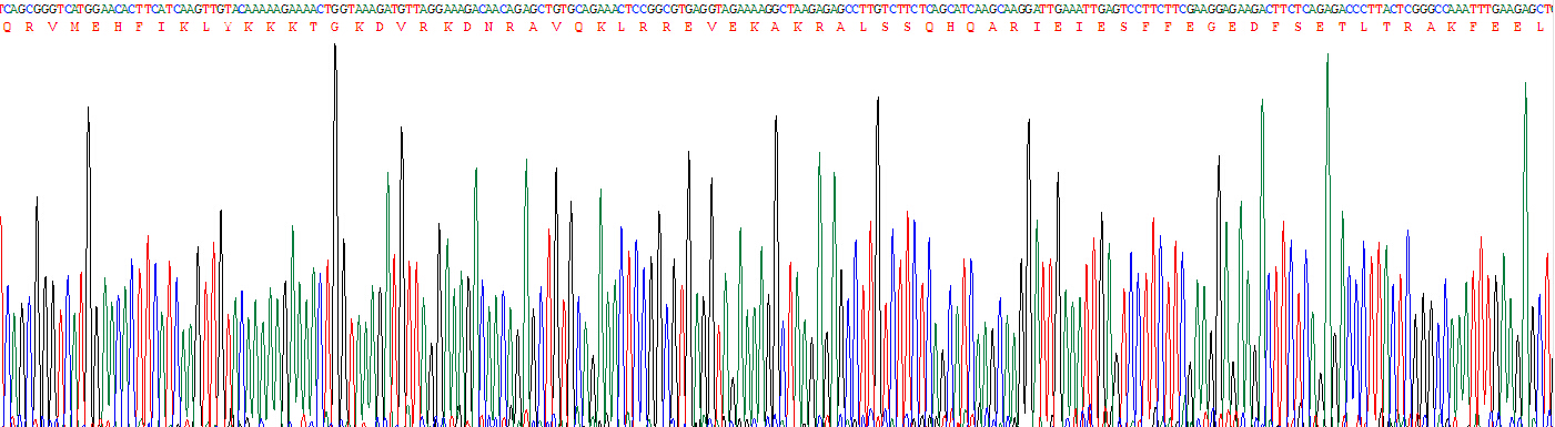 Recombinant Heat Shock 70kDa Protein 5 (HSPA5)