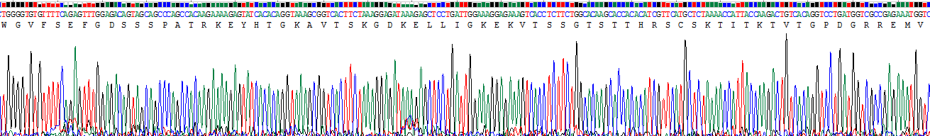 Recombinant Polycomb Group Ring Finger Protein 4 (PCGF4)