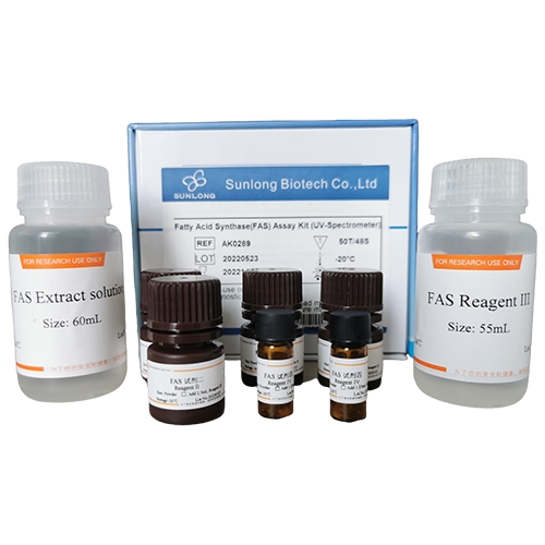 Fatty Acid Synthetase Activity Assay Kit