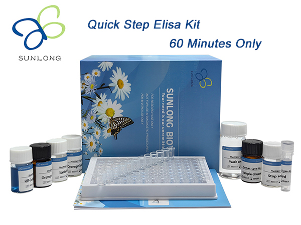 Quick Step Human Anti flagellin FliC AB-IgA ELISA Kit
